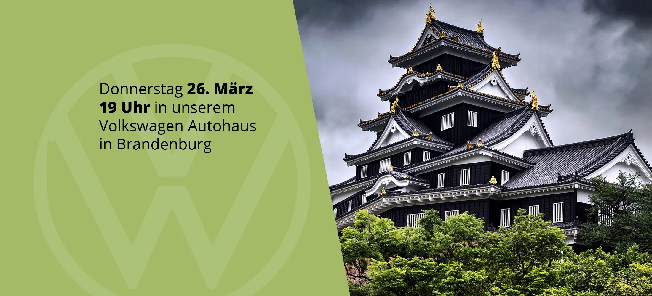 Multi-Visions-Show Japan